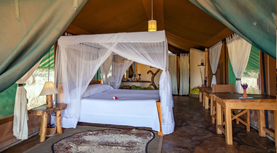 Kibo Safari Camp Tent